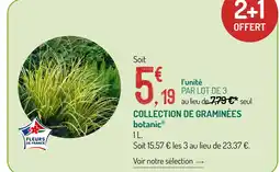 Botanic Botanic collection de graminées offre