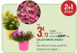 Botanic Collection de vivaces offre