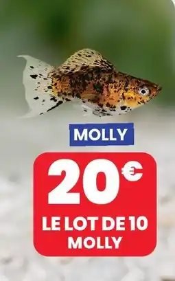 Animalis Le lot de 10 molly offre