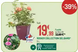 Botanic Delbard rosier collection offre