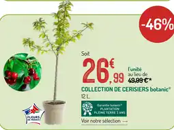 Botanic Botanic collection de cerisiers offre
