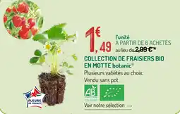 Botanic Botanic collection de fraisiers bio en motte offre