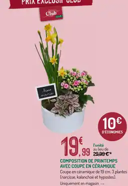 Botanic Composition de printemps avec coupe en céramique offre