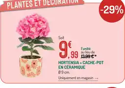 Botanic Hortensia + cache-pot en céramique offre