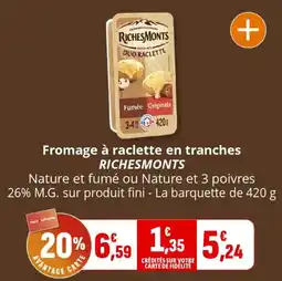 Coccinelle Supermarché Fromage à raclette en tranches richesmonts offre