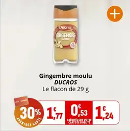 Coccinelle Supermarché Gingembre moulu ducros offre