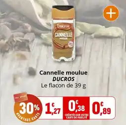 Coccinelle Supermarché Cannelle moulue ducros offre