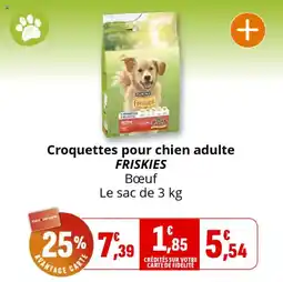 Coccinelle Supermarché Croquettes pour chien adulte friskies offre