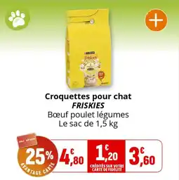 Coccinelle Supermarché Croquettes pour chat friskies offre