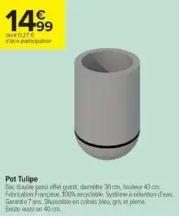 Carrefour Contact Pot tulipe offre