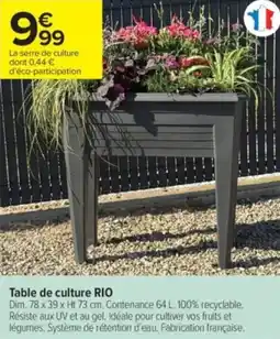 Carrefour Contact Table de culture rio offre