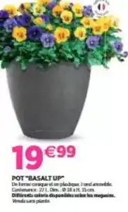 Delbard Pot basalt up offre