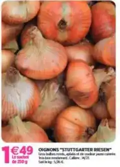 Delbard Oignons stutgarter riesen offre