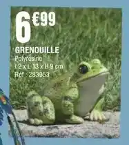 La Foir'Fouille Grenouille offre
