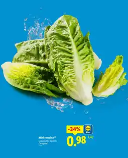 Lidl Mini romaine offre