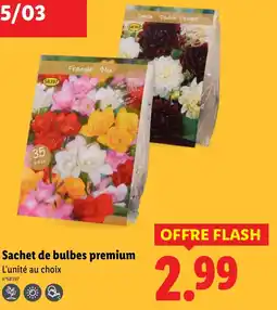 Lidl Sachet de bulbes premium offre