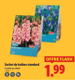 Lidl Sachet de bulbes standard offre
