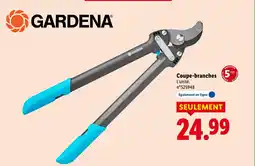 Lidl Coupe branches offre