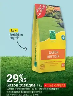 Espace emeraude Gazon rustique offre