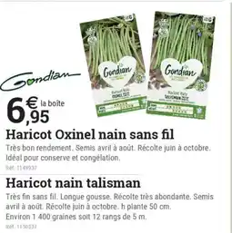 Espace emeraude Haricot Oxinel nain sans fil offre