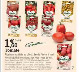 Espace emeraude GONDRAN Tomate offre