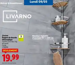 Lidl Livarno étagère de douche télescopique offre