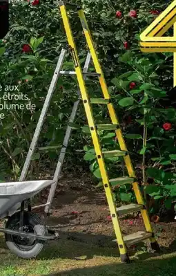 Espace emeraude Escabeau professionnel offre