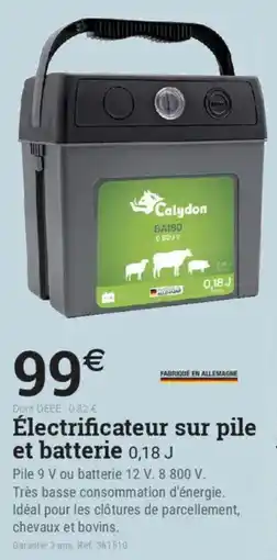 Espace emeraude Électrificateur sur pile et batterie offre