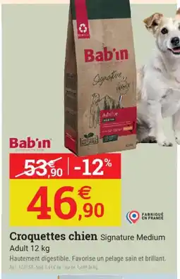 Espace emeraude BABIN Croquettes chien Signature Medium Adult offre