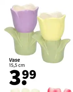 Wibra Vase offre
