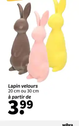 Wibra Lapin velours offre