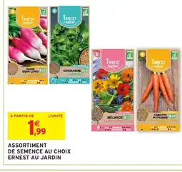 Intermarché Hyper Assortiment de semence au choix ernest au jardin offre