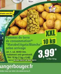 Norma Pommes de terre de consommation Marabel/Agata/Blanche selon arrivage offre