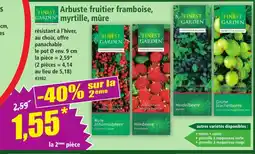 Norma FINEST GARDEN Arbuste fruitier framboise, myrtille, mûre offre
