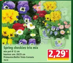 Norma Spring checkies trio mix offre