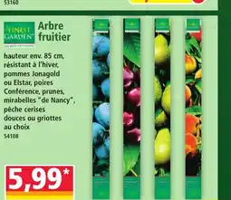 Norma FINEST GARDEN Arbre fruitier offre