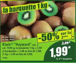 Norma Kiwis Hayward offre