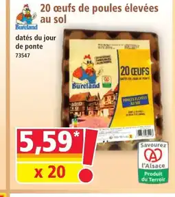 Norma BURELAND 20 œufs de poules élevées au sol offre