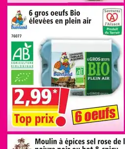 Norma BURELAND 6 gros oeufs Bio élevées en plein air offre