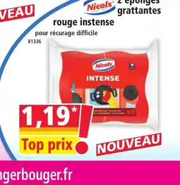 Norma NICOLS 2 éponges grattantes offre