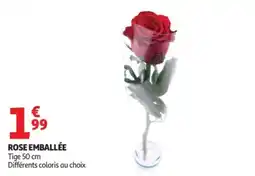 Auchan Rose emballée offre