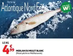 Auchan Merlan ou mulet blanc offre
