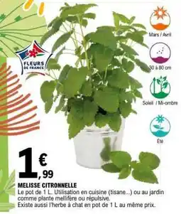 E.Leclerc MÉLISSE CITRONNELLE offre