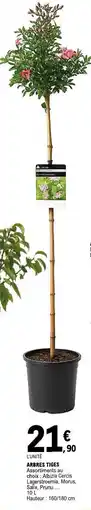 E.Leclerc ARBRES TIGES offre