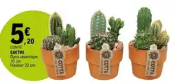 E.Leclerc Cactus offre