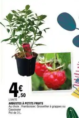 E.Leclerc Arbustes À Petits Fruits offre