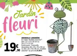 E.Leclerc GRENOUILLE JARDINIÈRE offre