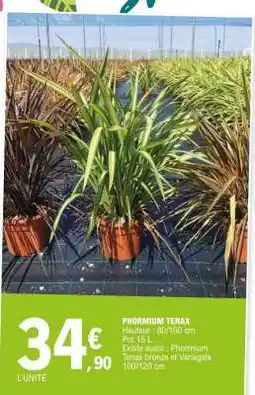 E.Leclerc PHORMIUM TENAX offre