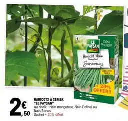 E.Leclerc HARICOTS À SEMER LE PAYSAN offre