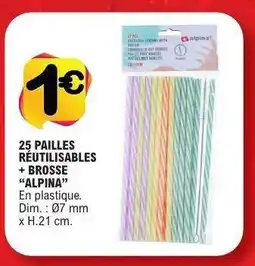 E.Leclerc 25 pailles réutilisables + brosse Alpina offre